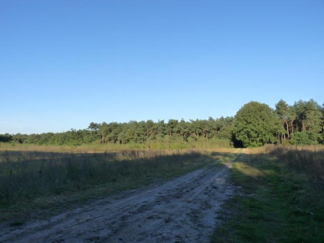 De Steegberg Holiday Home Sevenum Esterno foto