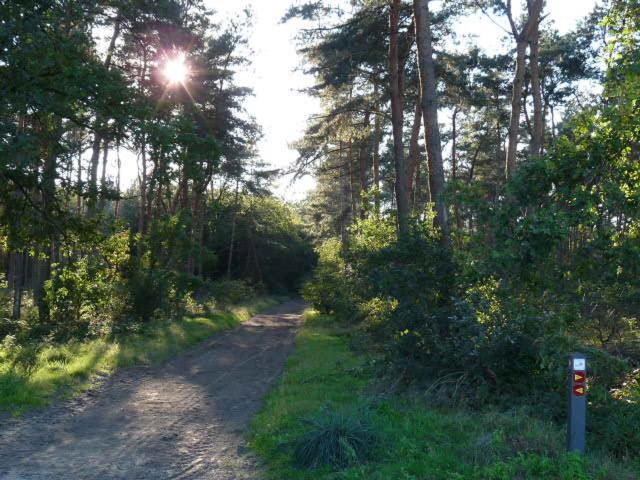 De Steegberg Holiday Home Sevenum Esterno foto